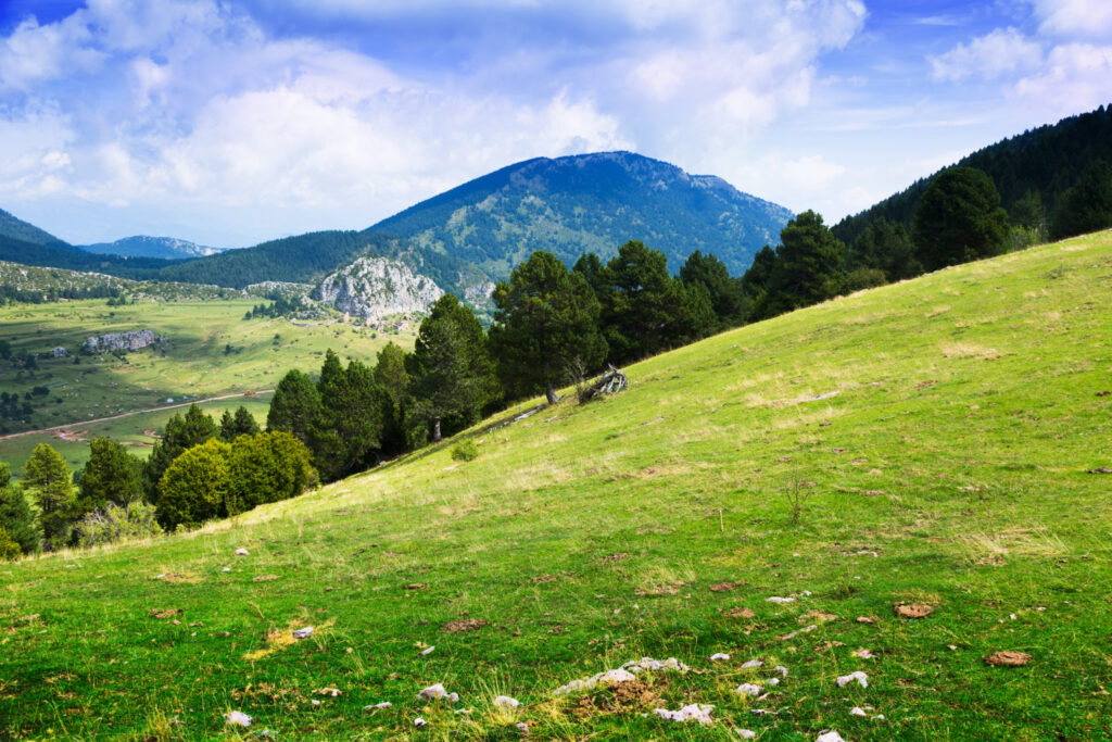 Planina, Subvencije