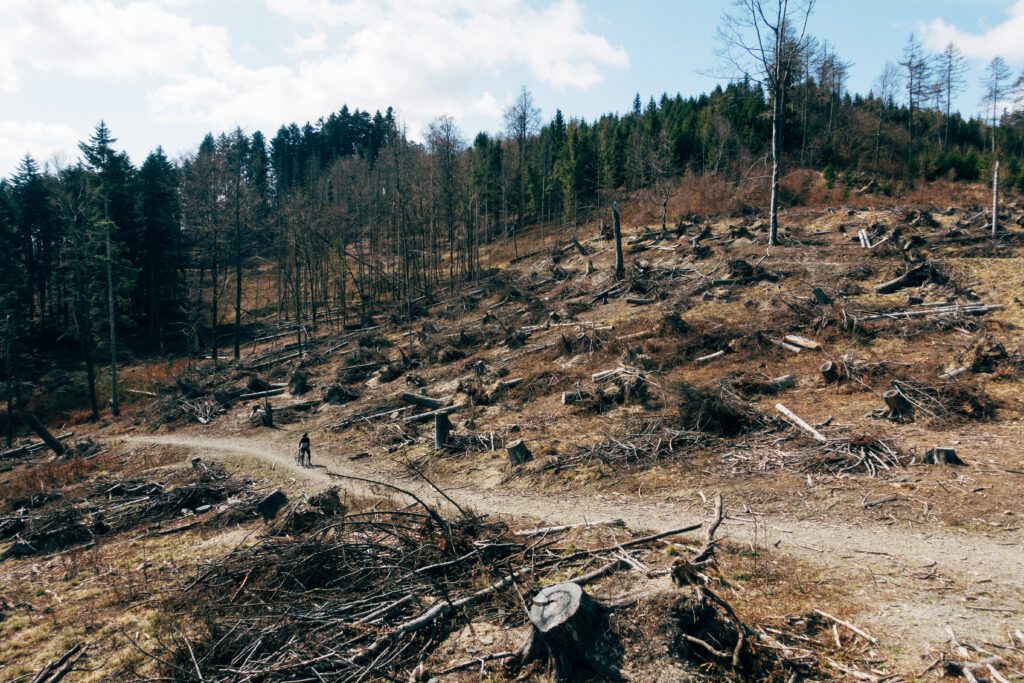 krčenje šuma