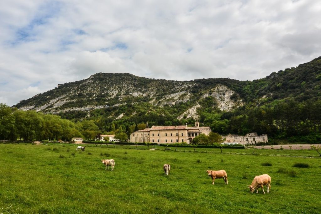 francuska farma