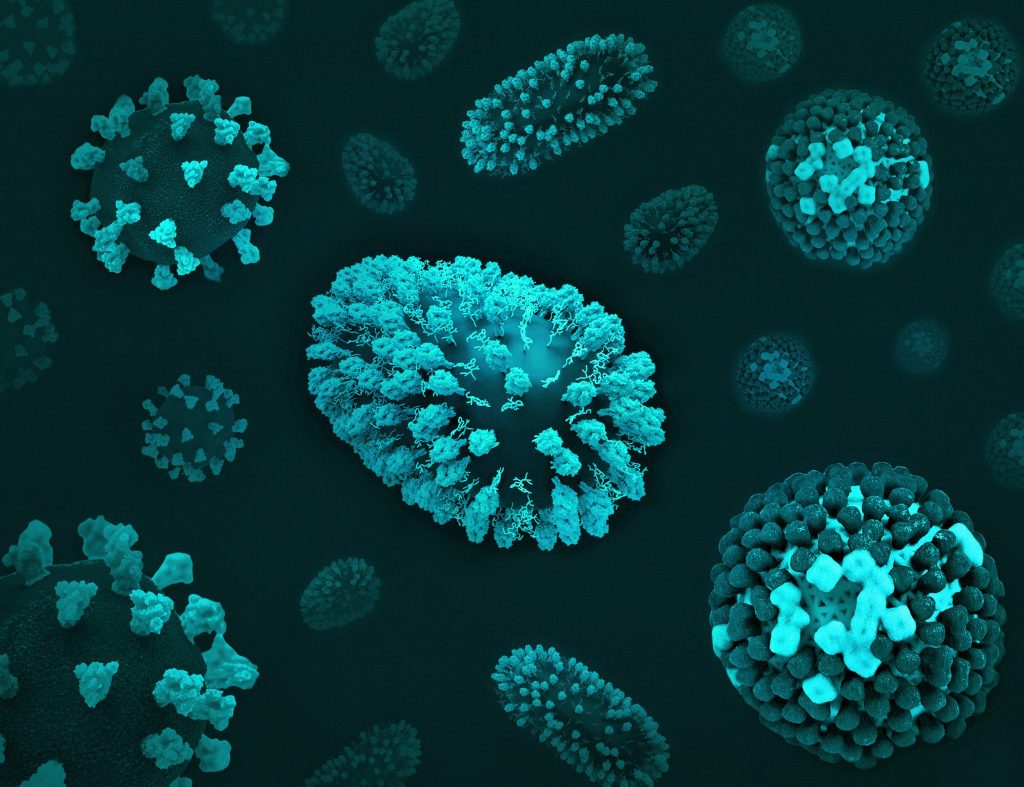 virus, autoimune bolesti