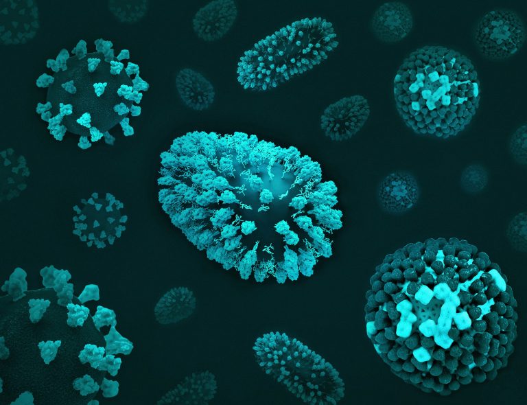 virus, autoimune bolesti